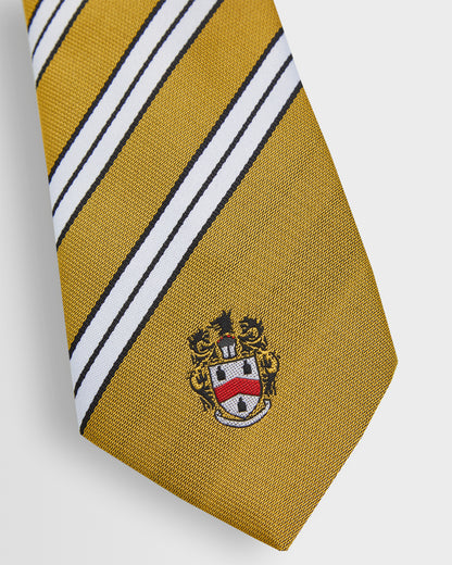 Unisex House Ties - Years 8 to 11 (all colours)