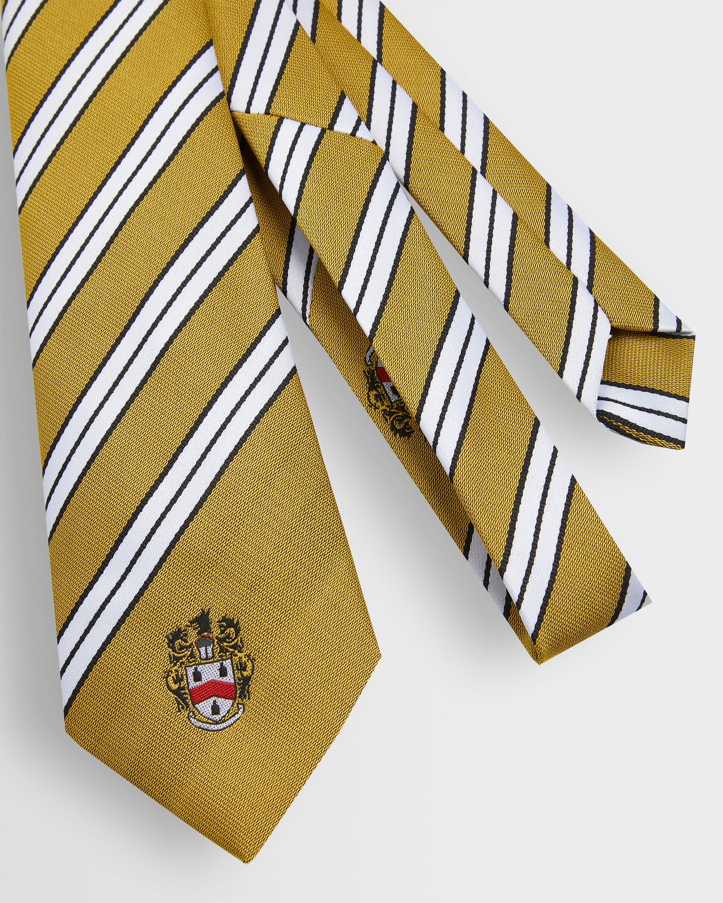 Unisex House Ties - Years 8 to 11 (all colours)