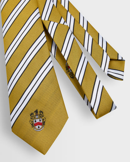 Unisex House Ties - Years 8 to 11 (all colours)